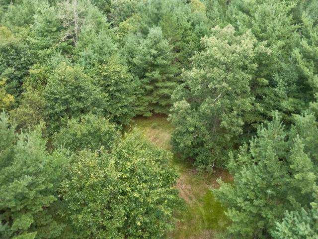 Land for sale in Adams, Wisconsin