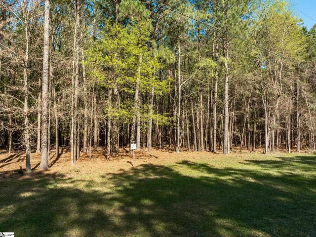 Land for sale in Prosperity, South Carolina