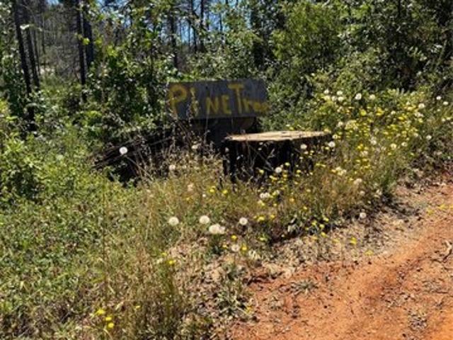 Land for sale in Butte, California
