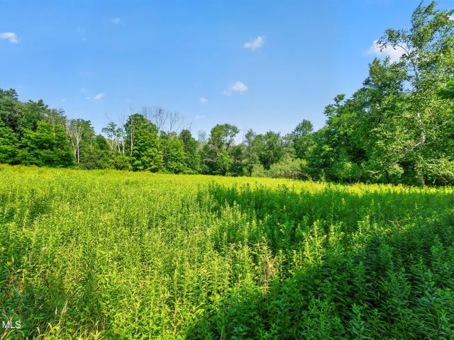 Land for sale in Stephentown, New York