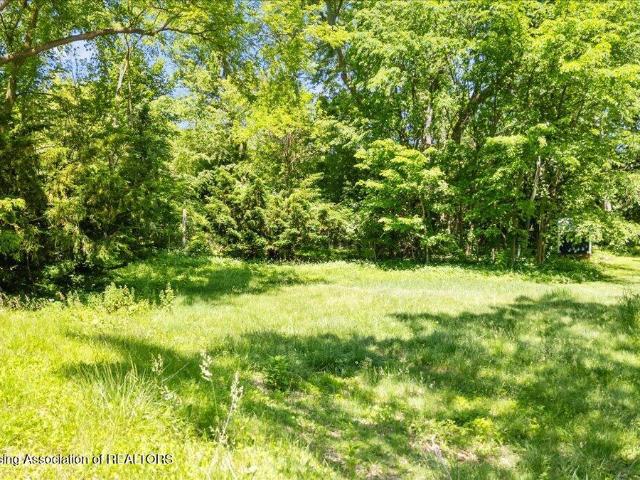Land for sale in Bailey, Michigan