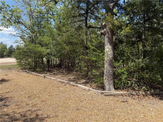 Land for sale in Somerville, Texas