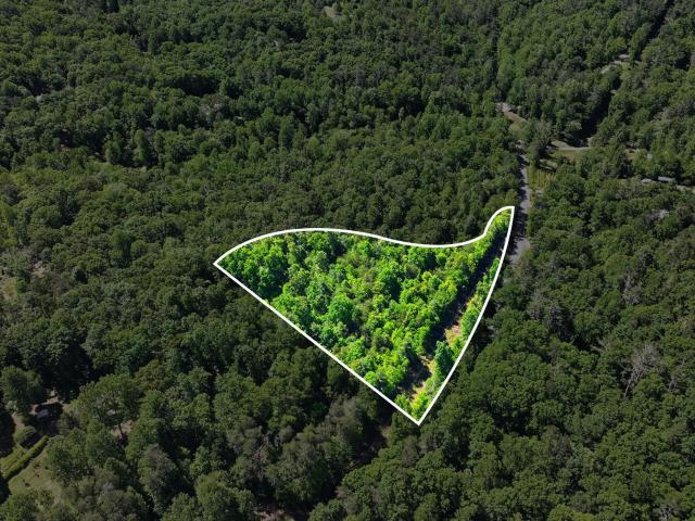 Land for sale in Clarkesville, Georgia
