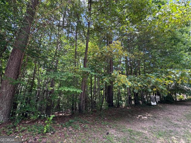 Land for sale in Haralson, Georgia