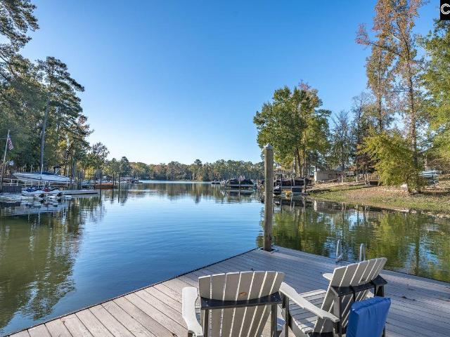 House for sale in Chapin, South Carolina