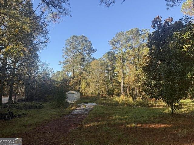 Land for sale in Sylvania, Screven County