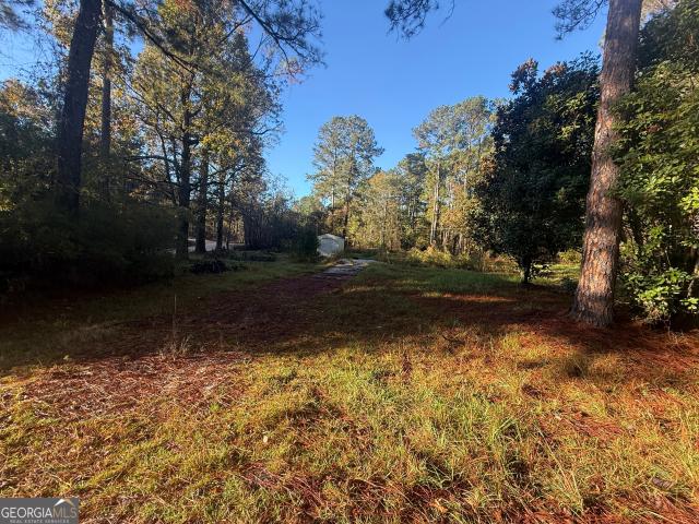 Land for sale in Sylvania, Screven County