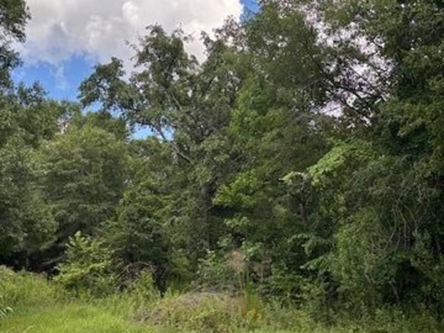 Land for sale in Dougherty, Georgia