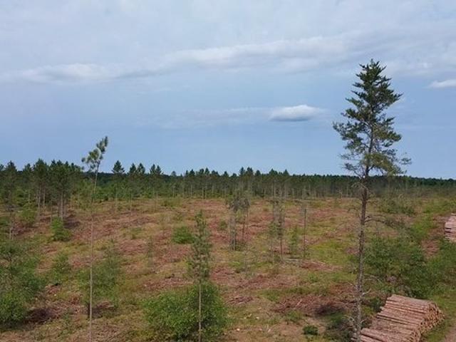 Land for sale in Wisconsin