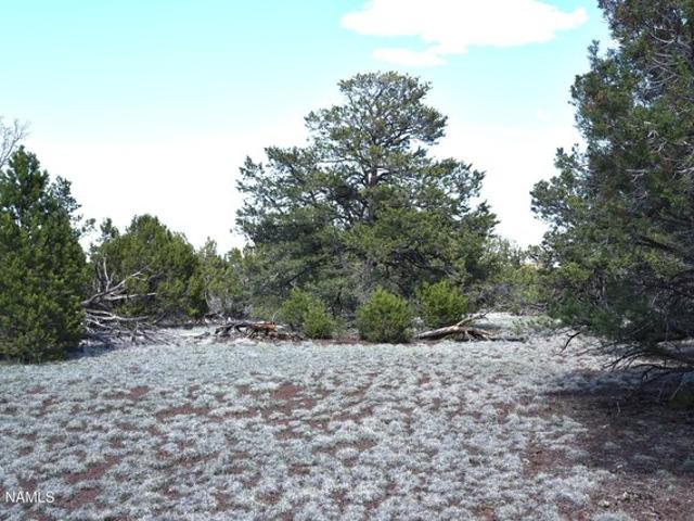 Land for sale in Williams, Arizona