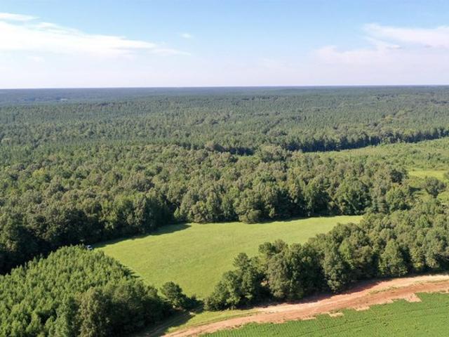 Land for sale in Montezuma, Macon County