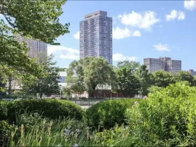 House for rent in Chicago