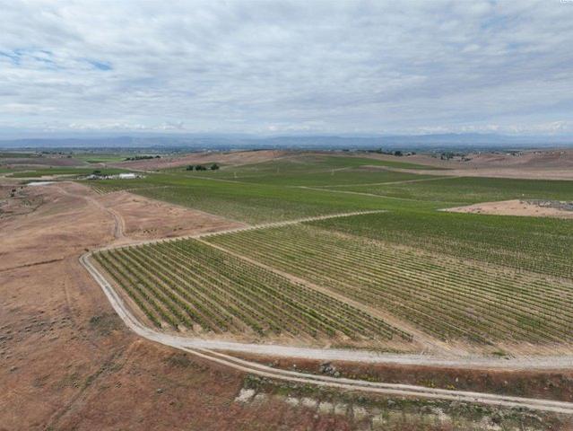 Farm for sale in Zillah, Washington