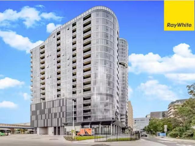 Apartment for rent in Phillip, District of Woden Valley