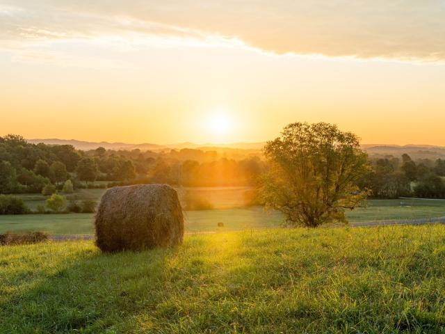 Land for sale in Tennessee