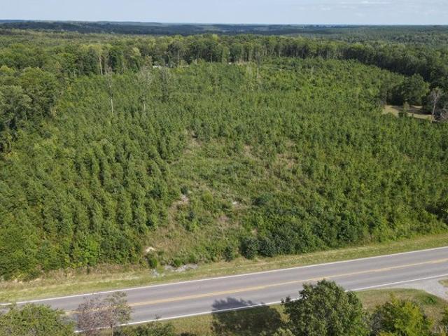 Land for sale in Nathalie, Halifax County