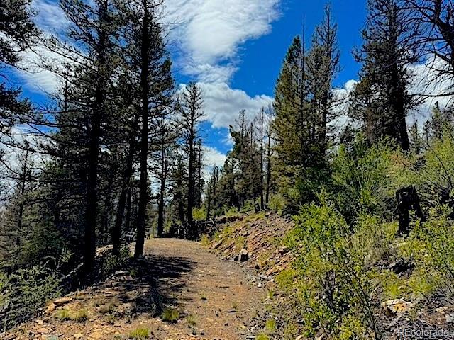 Land for sale in Fairplay, Colorado