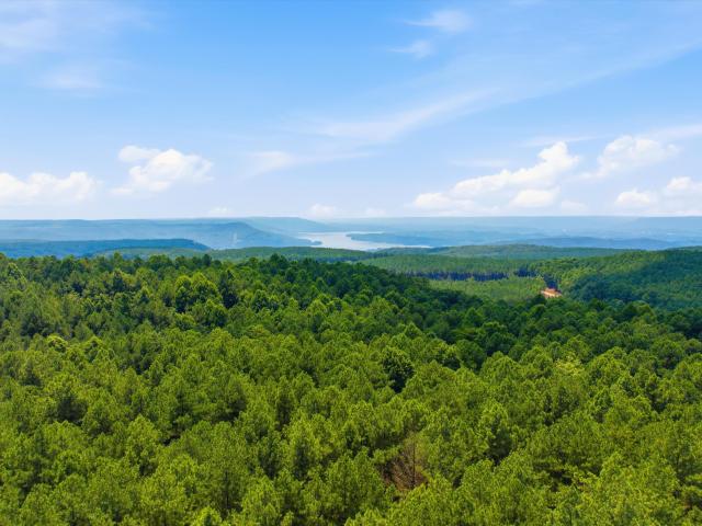 Land for sale in Tennessee