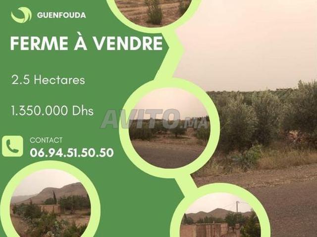 Propriété vente à Guenfouda