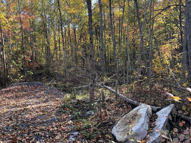 Land for sale in Methuen, Ontario