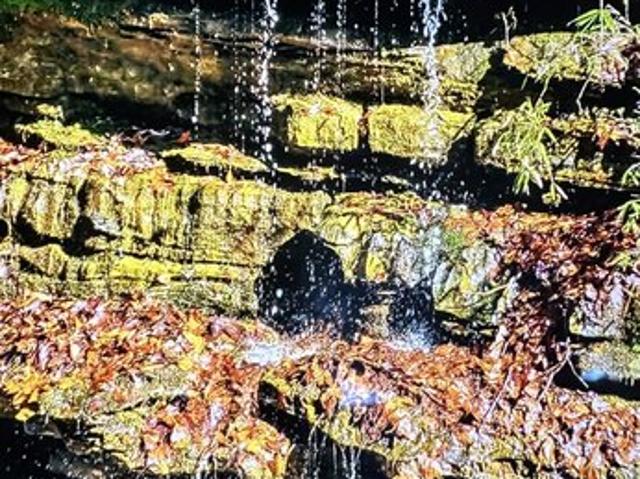 Farm for sale in Lawrenceburg, Middle Tennessee