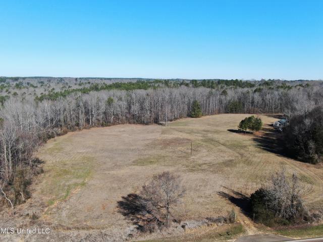Land for sale in Walnut, Mississippi