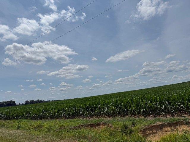 Land for sale in Carmi, Illinois