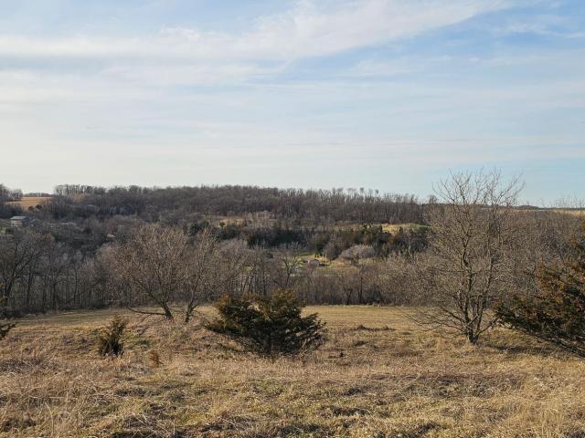 Land for sale in Chatfield, Minnesota