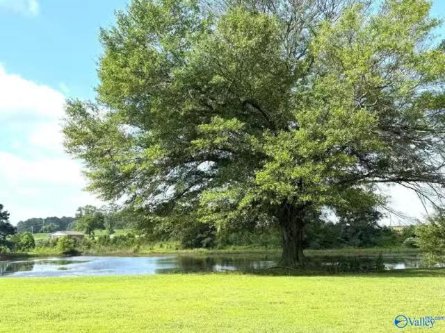 House for rent in Albertville