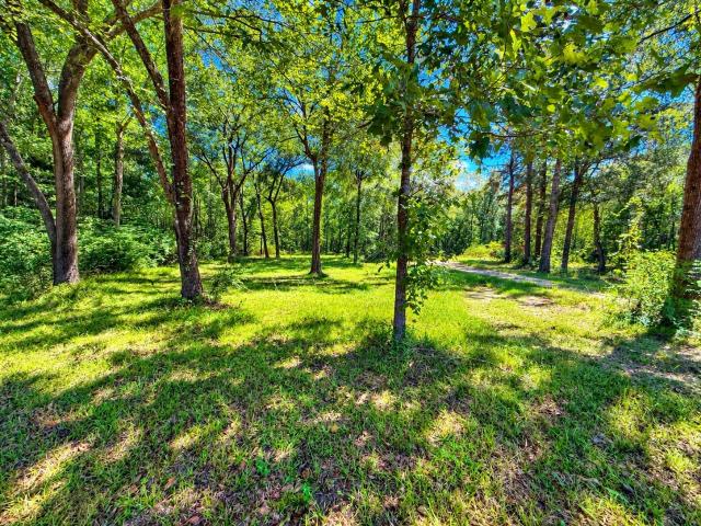 Land for sale in Saratoga, Hardin County
