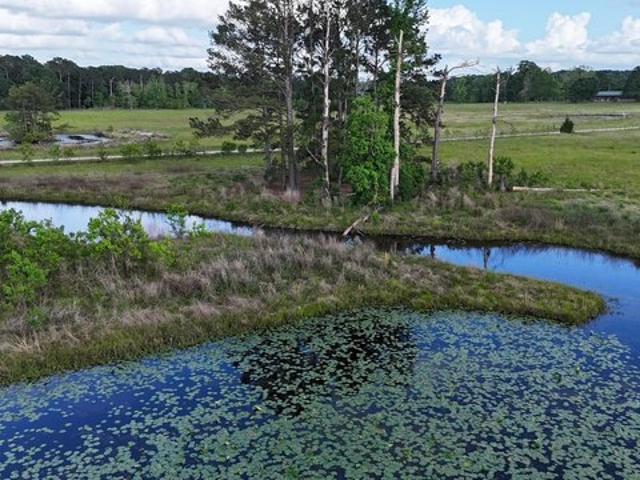 Land for sale in Jasper, Texas