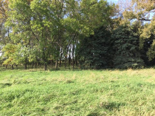 Land for sale in Canby, Minnesota