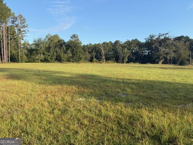 Land for sale in Metter, Candler County