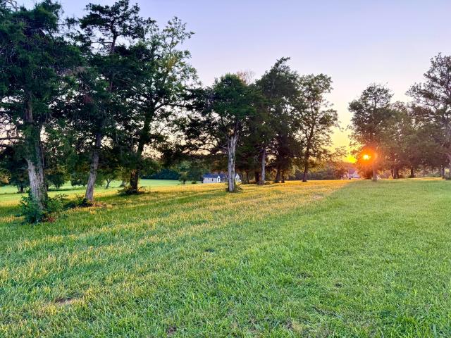 Land for sale in Bluegrass Dreams, Wilmore