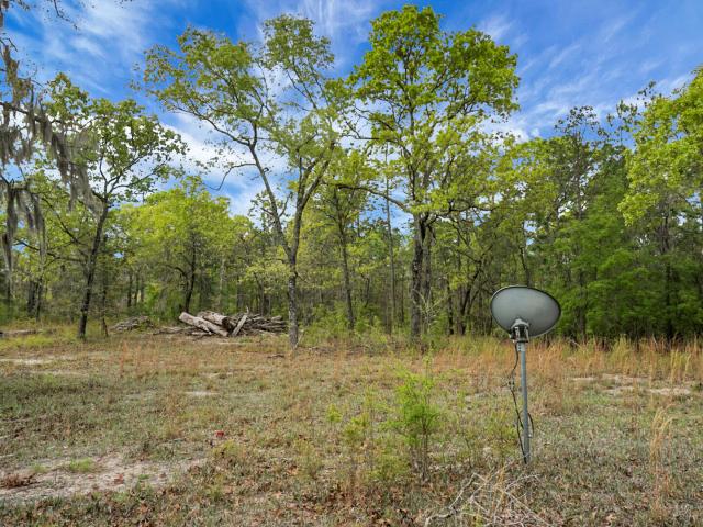 Land for sale in Walterboro, South Carolina