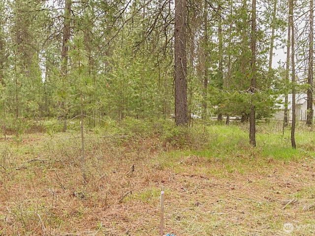 Land for sale in Chewelah, Washington