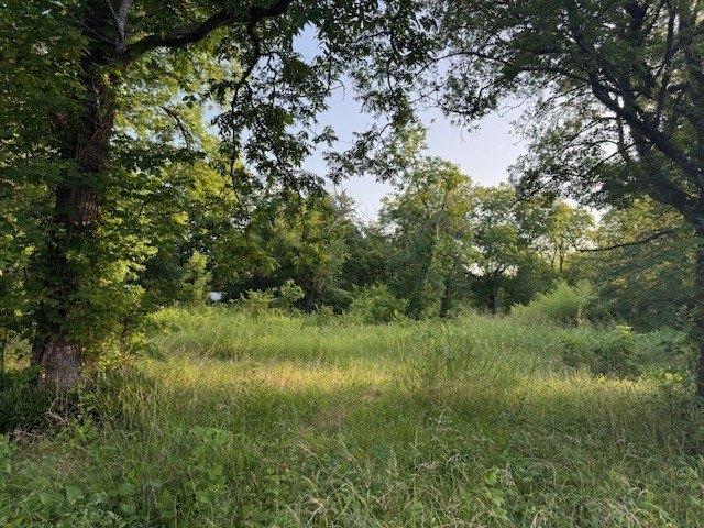 Land for sale in Lamar, Texas