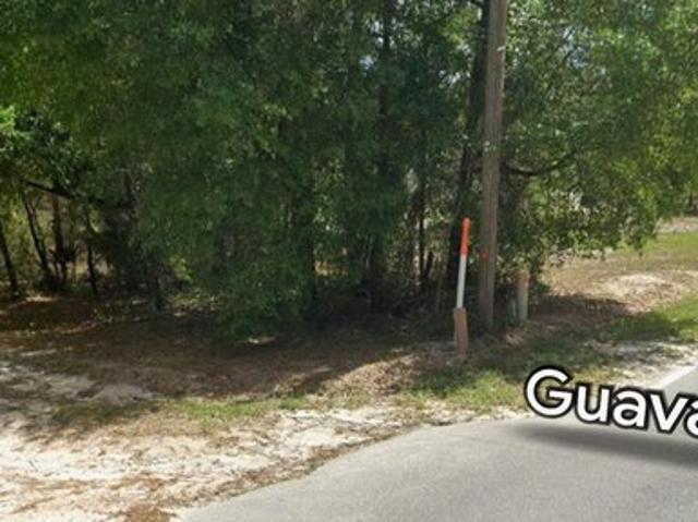 Land for sale in Pomona Park, Florida