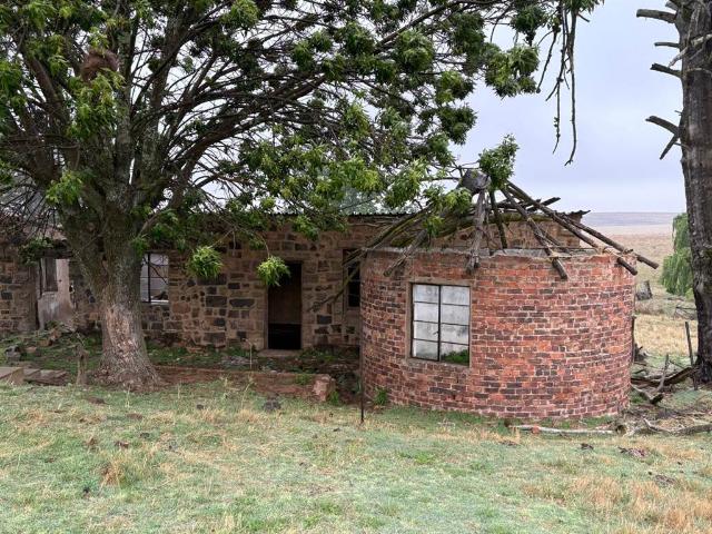 Farm for sale in Reitz, Free State