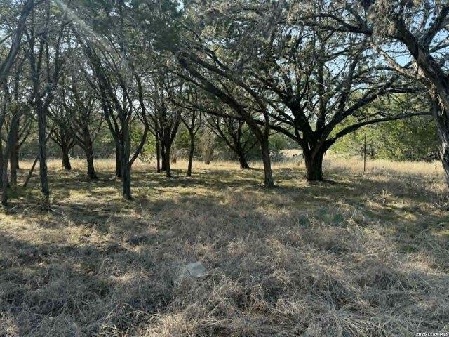 Land for sale in Pipe Creek, Texas