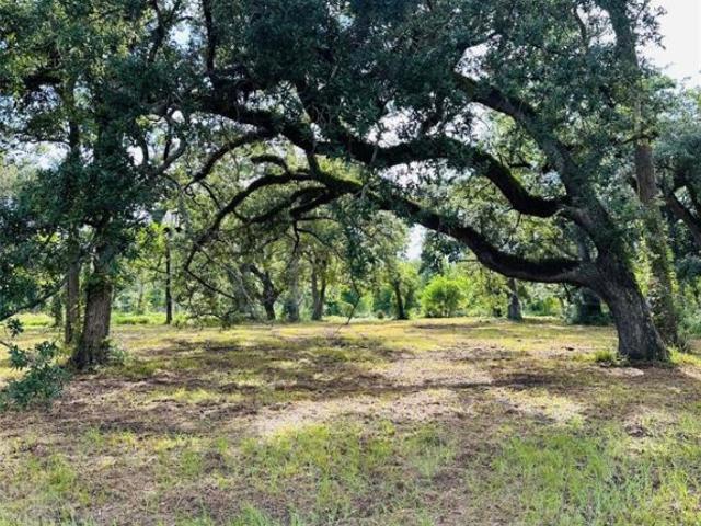 Land for sale in Angleton, Texas