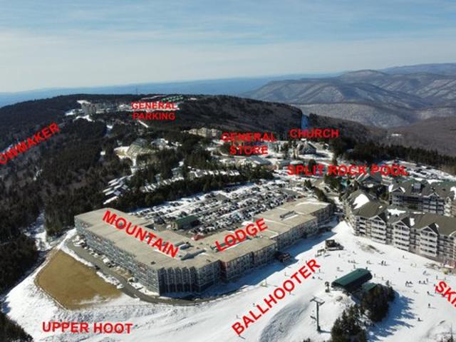Condo for sale in Snowshoe, West Virginia