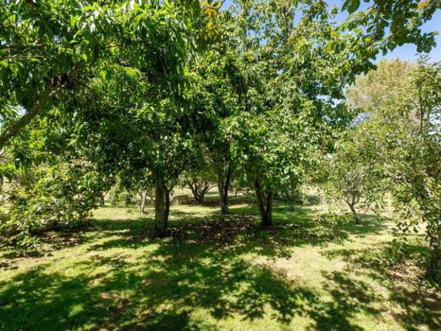 Property for sale in Bay Of Plenty
