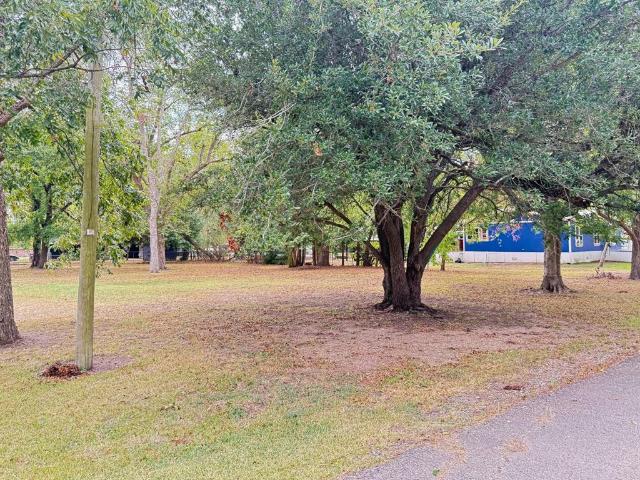 Land for sale in Pecan Gap, Delta County
