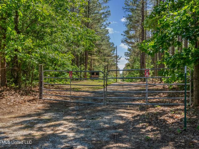 Land for sale in Holly Springs, Mississippi