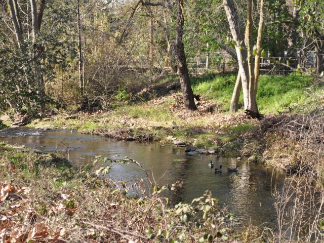 Land for sale in San Jose, Santa Clara County