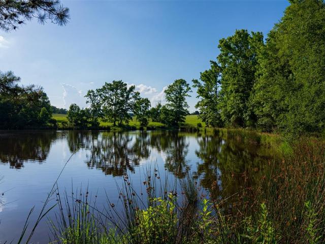 Land for sale in Grapeland, Texas