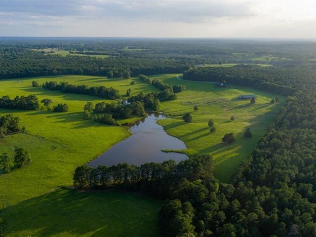 Land for sale in Grapeland, Texas