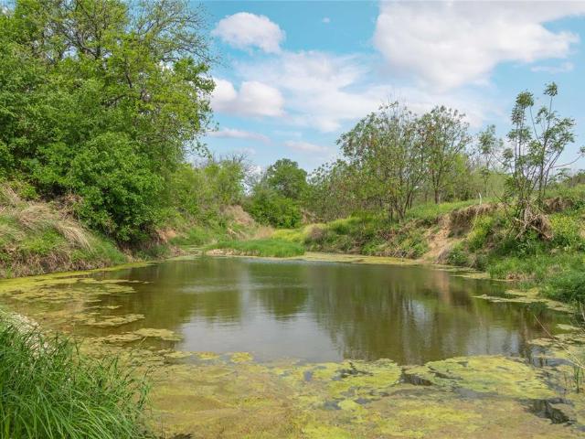 Land for sale in Early, Texas