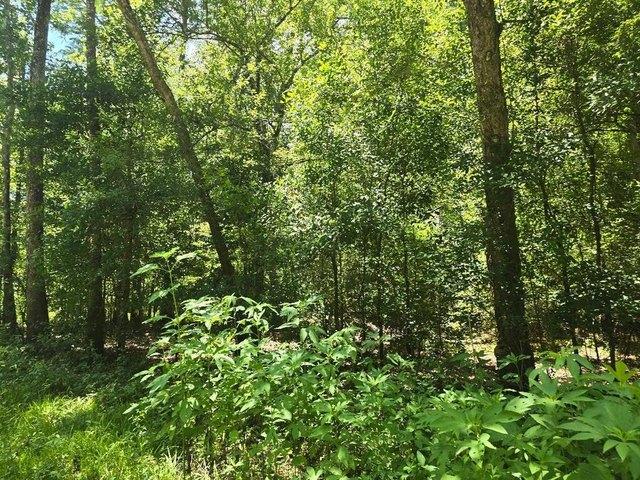 Land for sale in Orange, Orange County